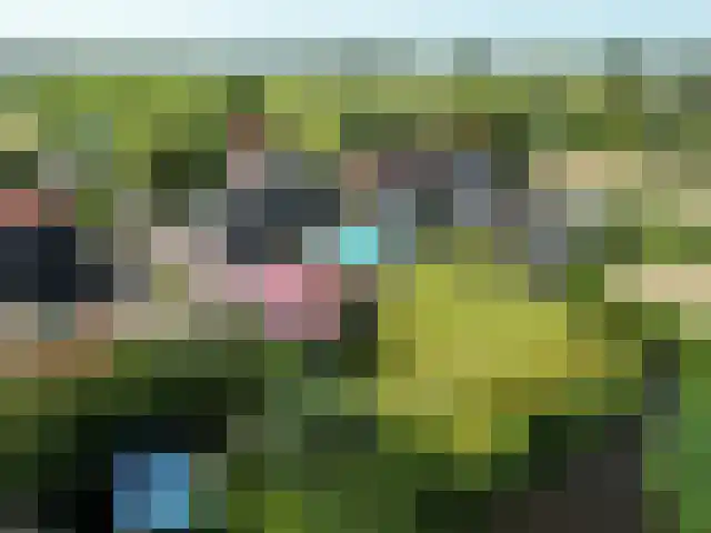 Middel 94 Westzaan thumbnail 68