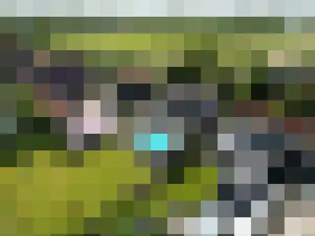 Middel 94 Westzaan thumbnail 69