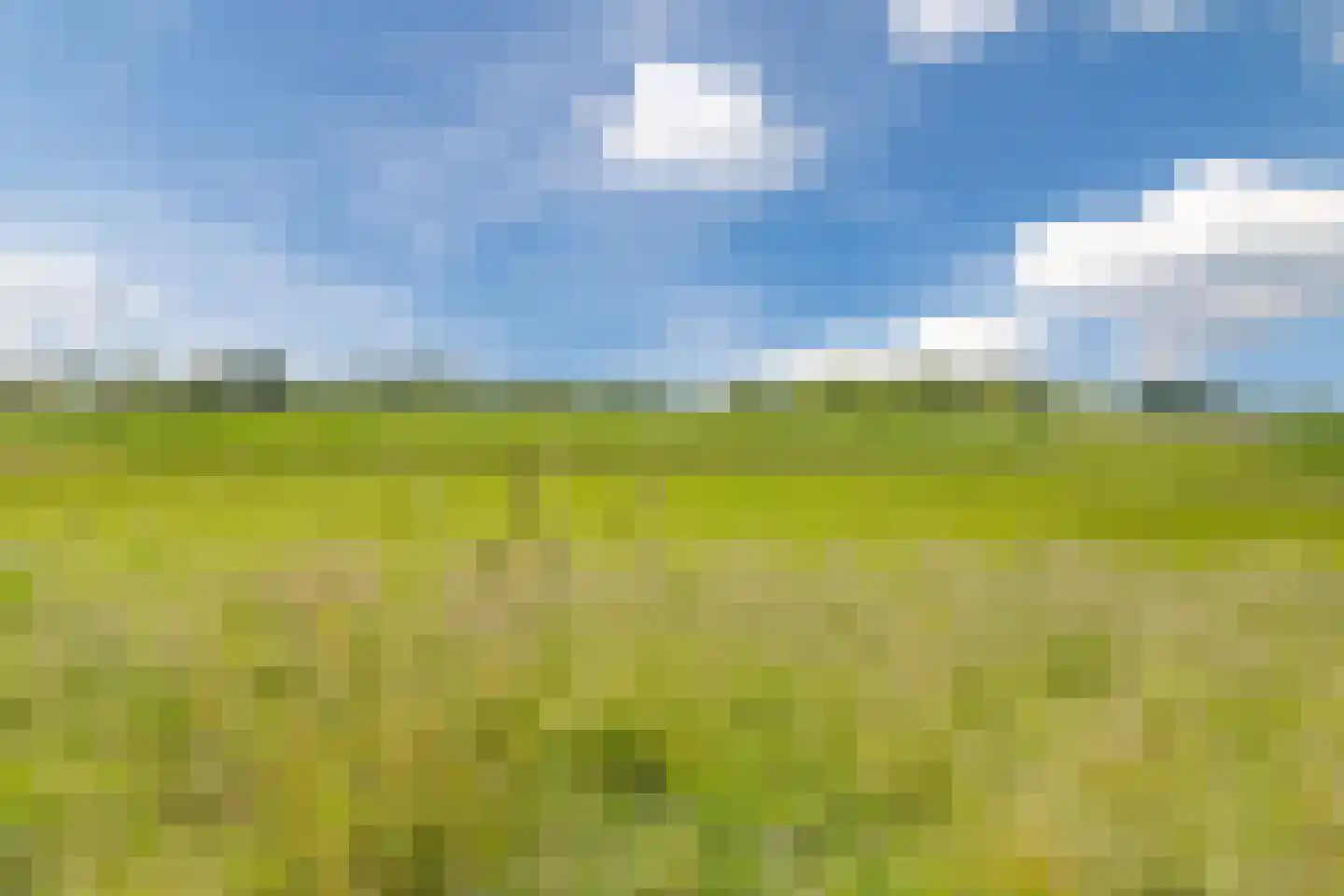 Middel 94 Westzaan thumbnail 81
