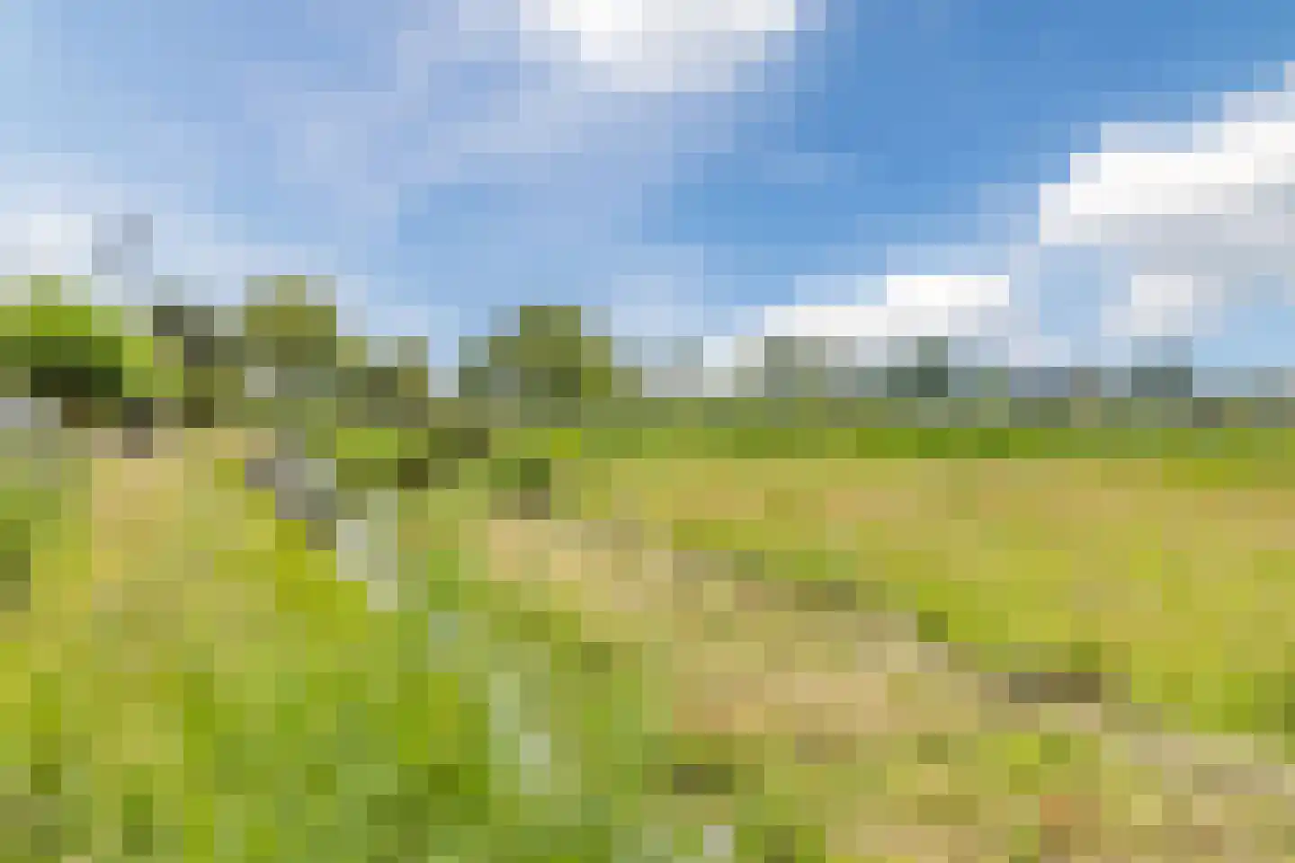 Middel 94 Westzaan thumbnail 82
