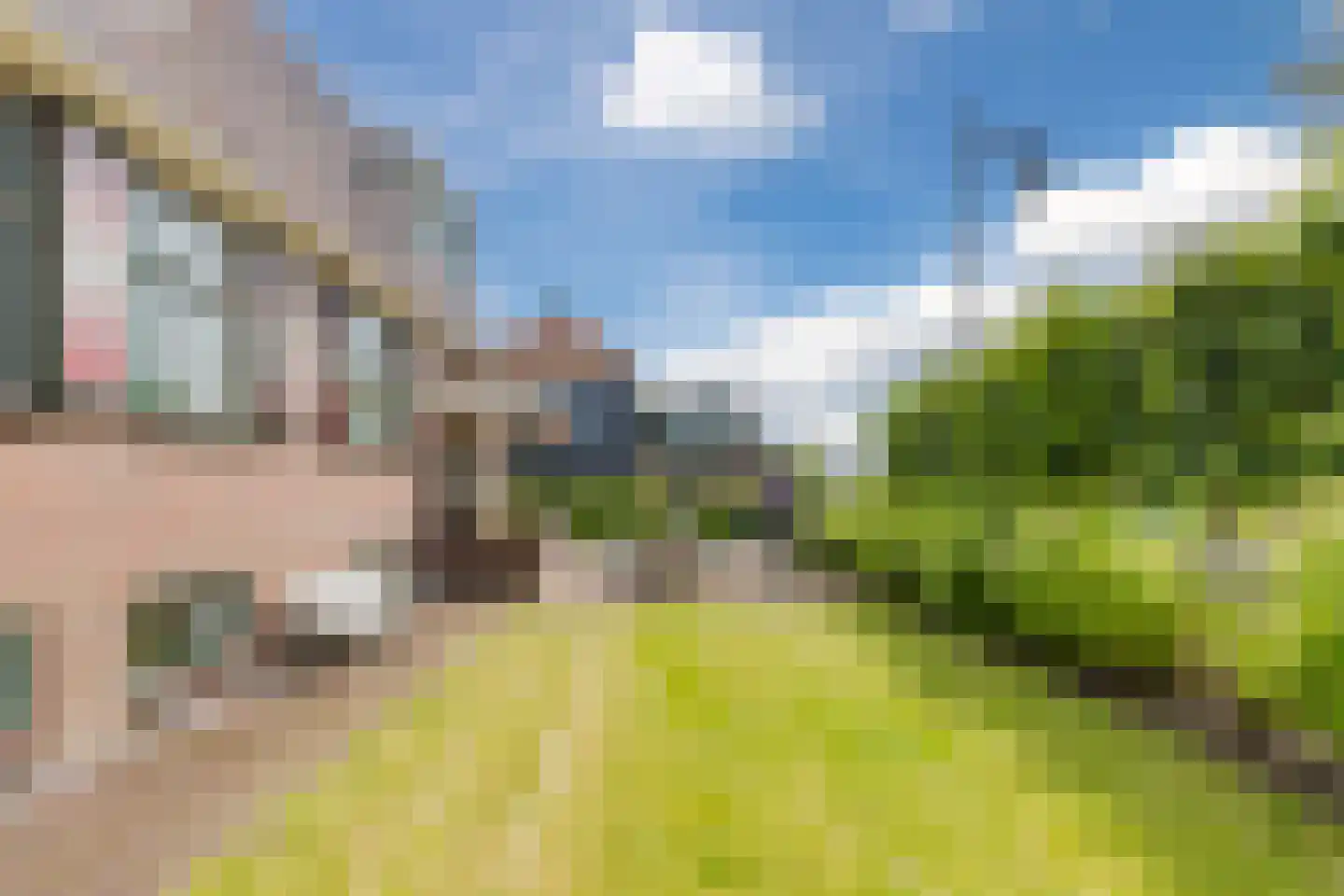 Middel 94 Westzaan thumbnail 88