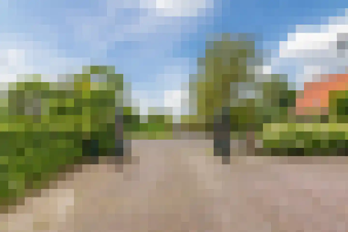 Middel 94 Westzaan thumbnail 89