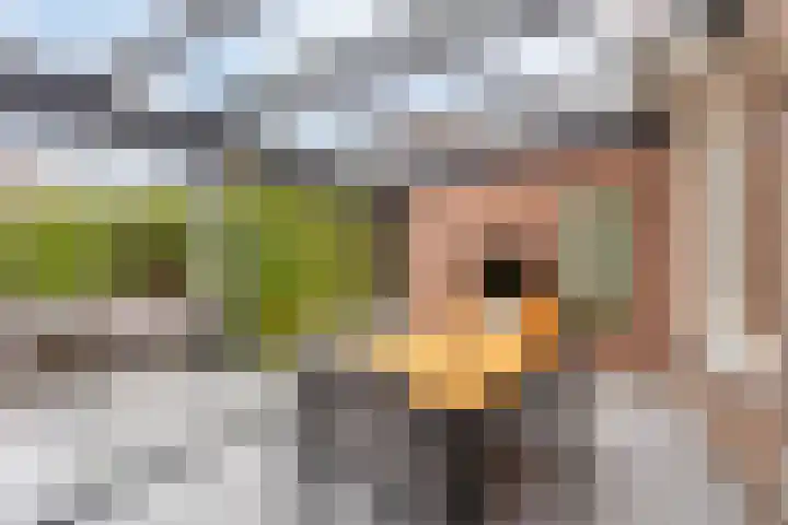 Middelberg 72 Veldhoven thumbnail 17