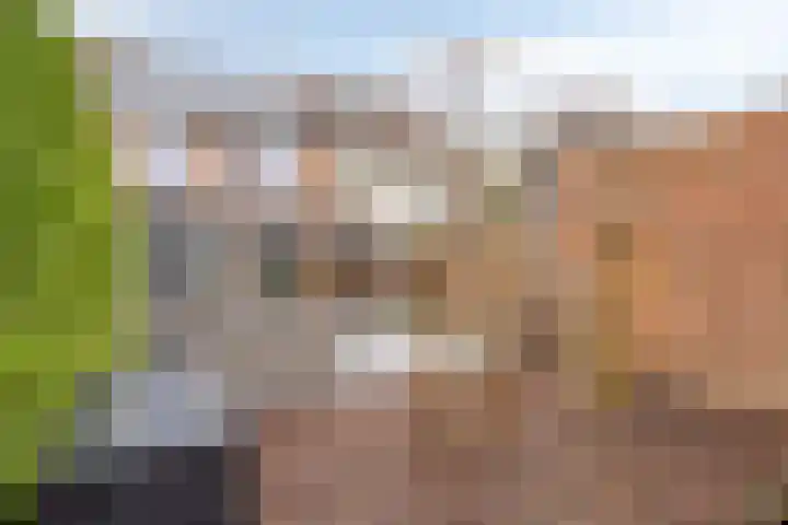 Middelberg 72 Veldhoven thumbnail 36