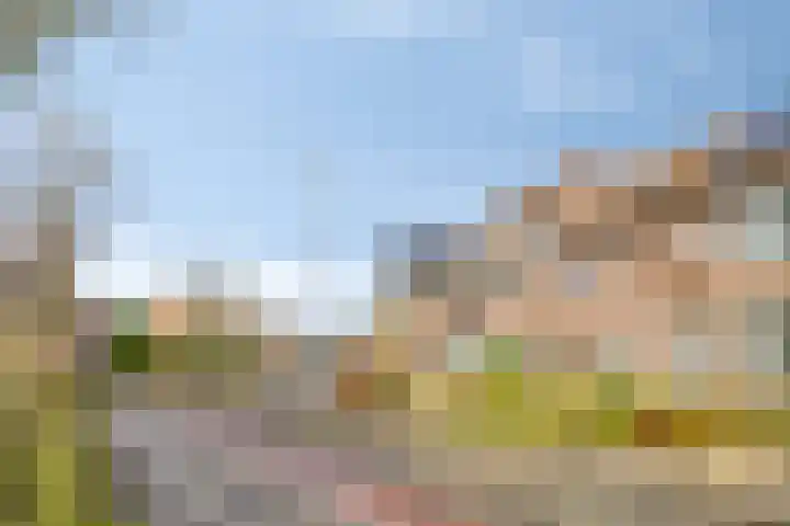 Middelberg 72 Veldhoven thumbnail 37
