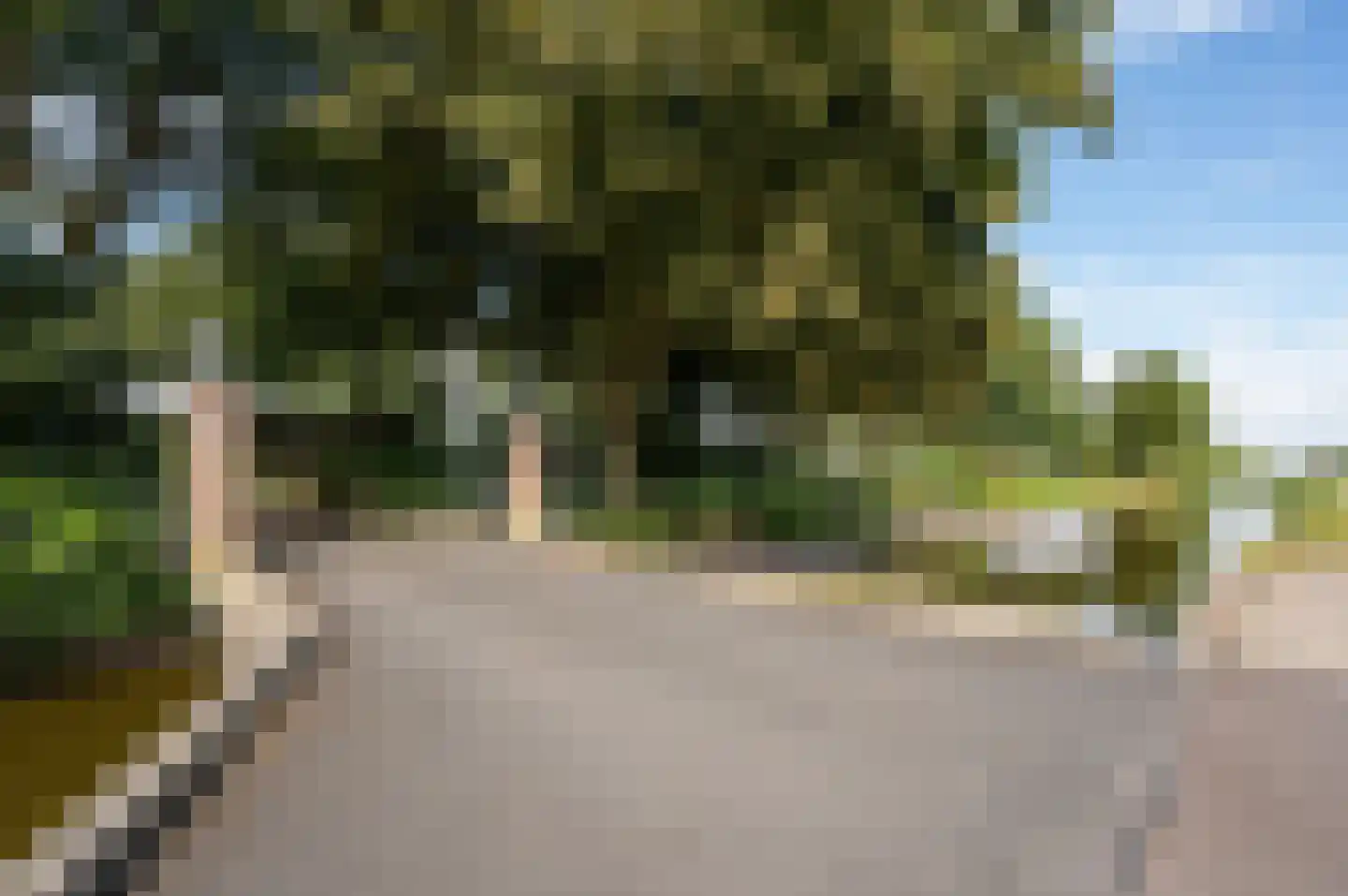 Middelburgseweg in Boskoop