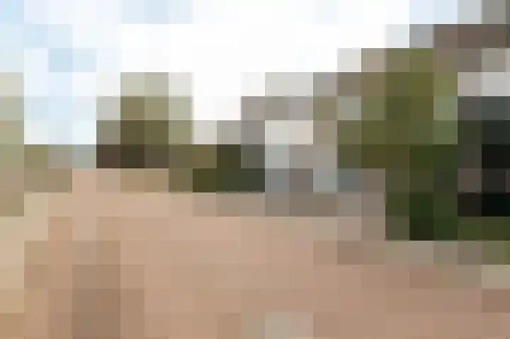 Middelcoopstraat 9 Culemborg thumbnail 4
