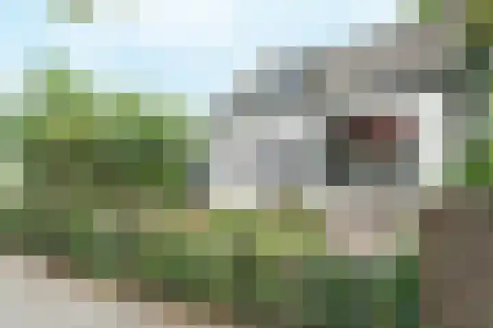 Middeldijk 1 Rockanje thumbnail 52