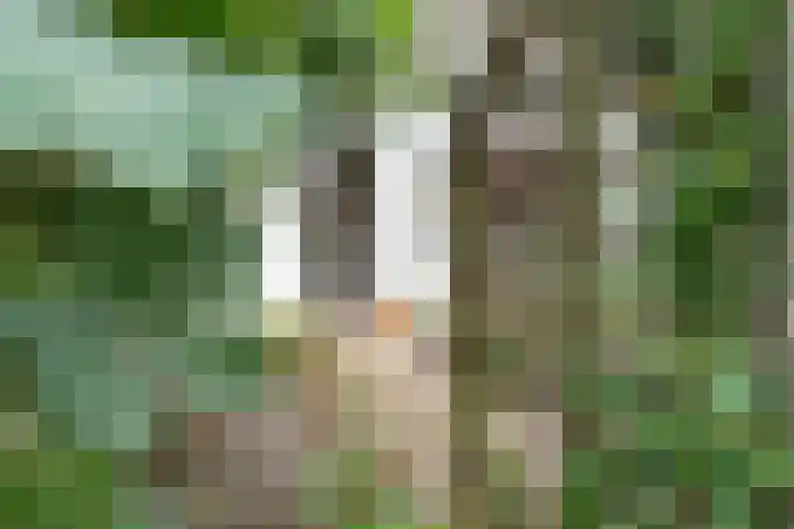 Middeldijk 1 Rockanje thumbnail 53