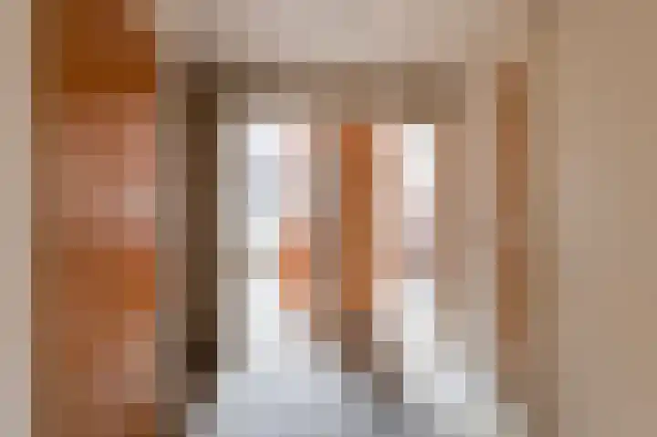 Middeldijk 8 Rijssen thumbnail 34
