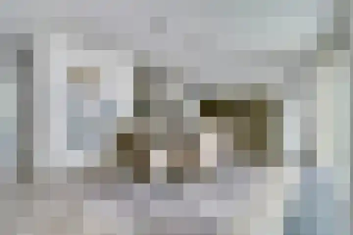Middelgraaf 30 Tilburg thumbnail 11