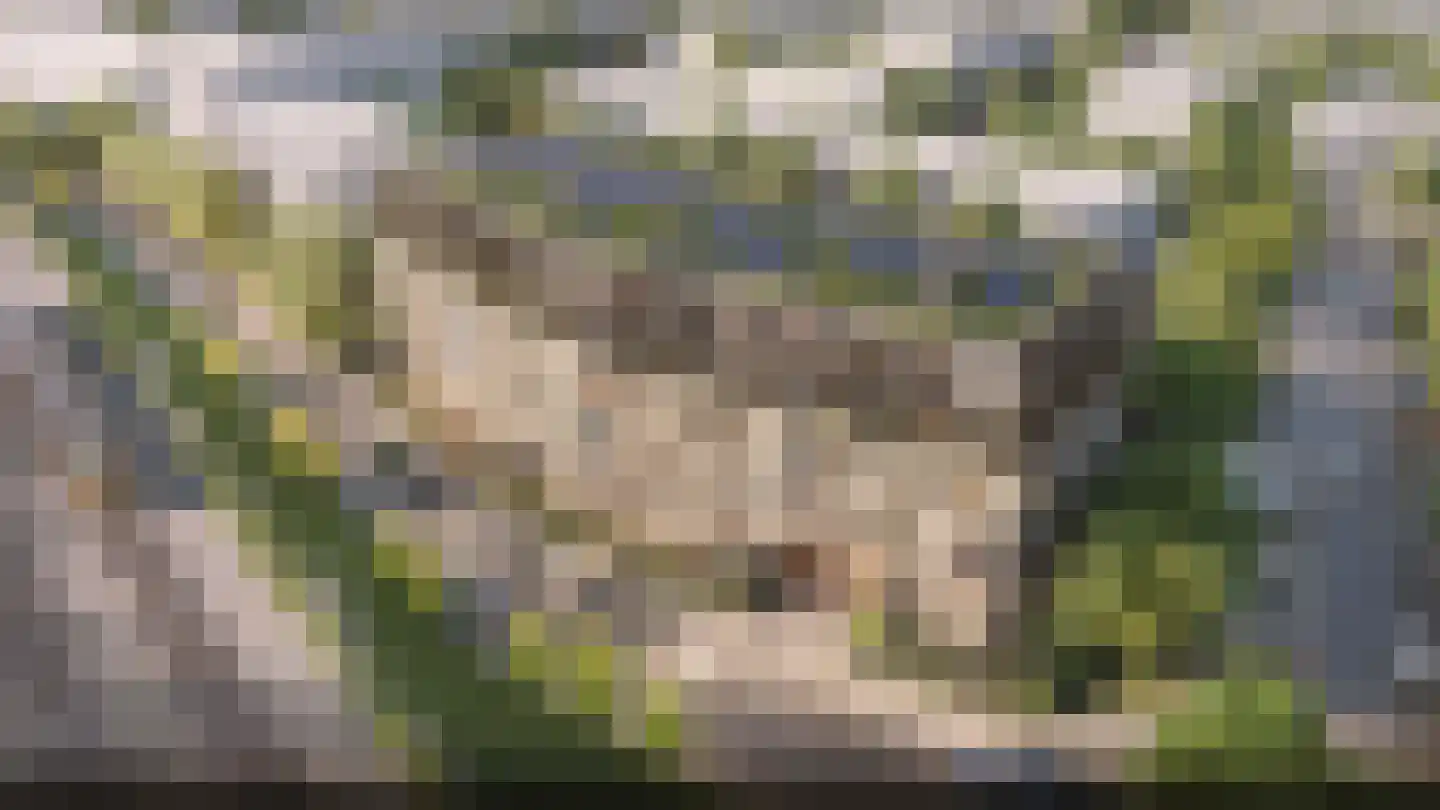 Middelgraaf 42 Tilburg