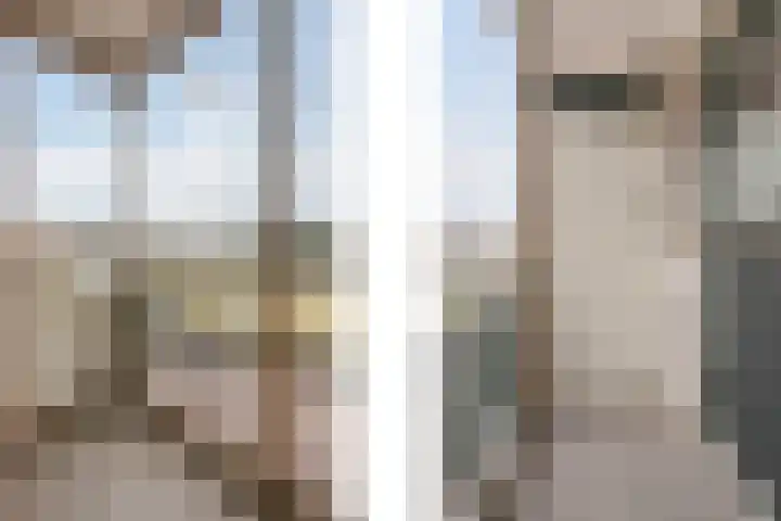 Middelgraaflaan 59 1 Arnhem thumbnail 19