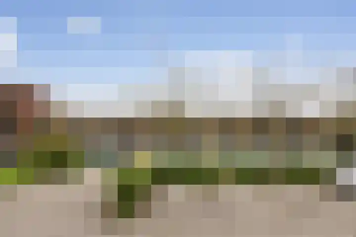 Middelgraafpad 73 Arnhem thumbnail 23