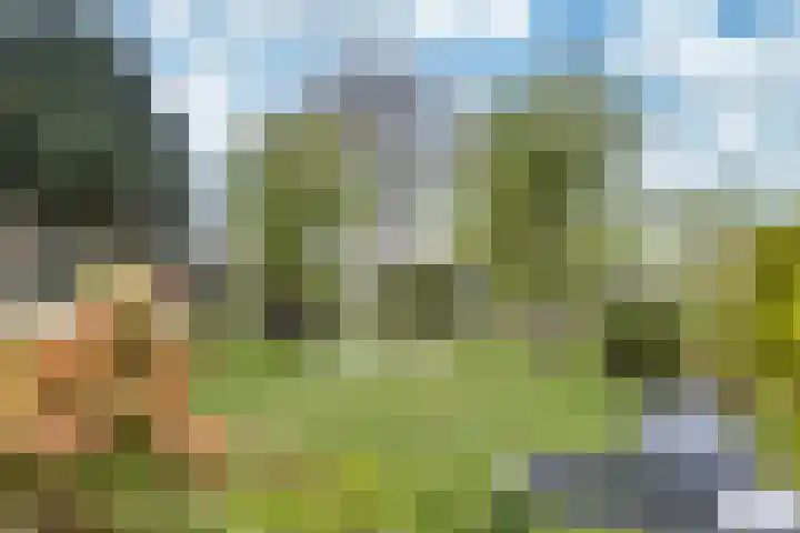 Middelgronden 44 Makkum thumbnail 26