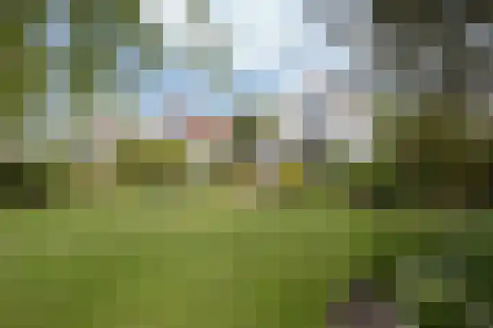 Middelgronden 44 Makkum thumbnail 29