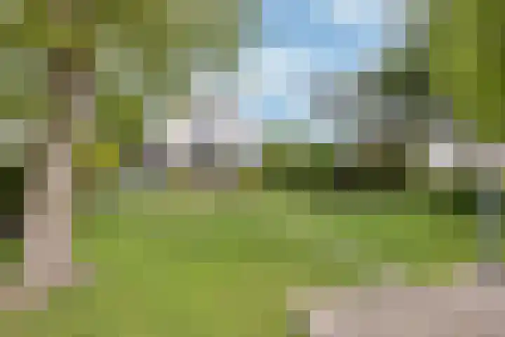 Middelgronden 44 Makkum thumbnail 30