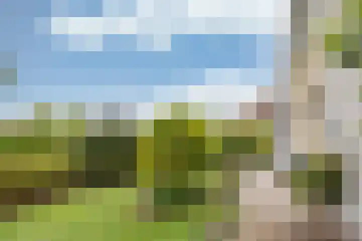 Middelgronden 44 Makkum thumbnail 34