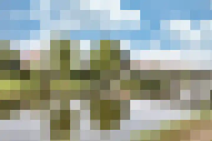 Middelgronden 44 Makkum thumbnail 37