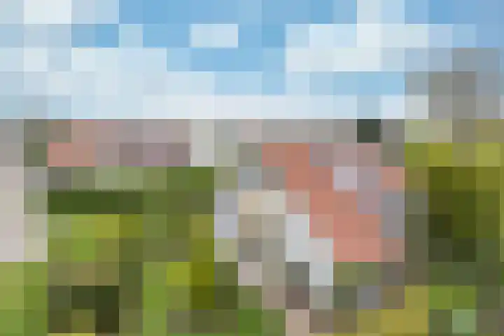 Middelgronden 44 Makkum thumbnail 4