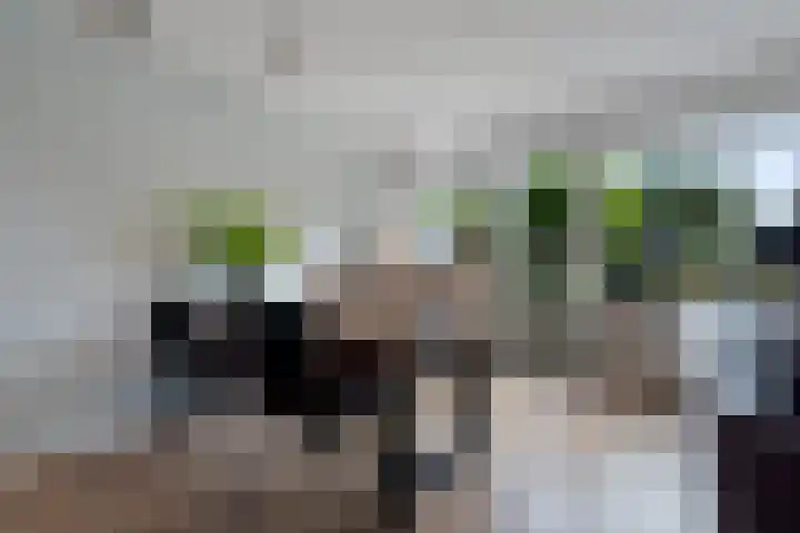 Middelgronden 64 Huizen thumbnail 11
