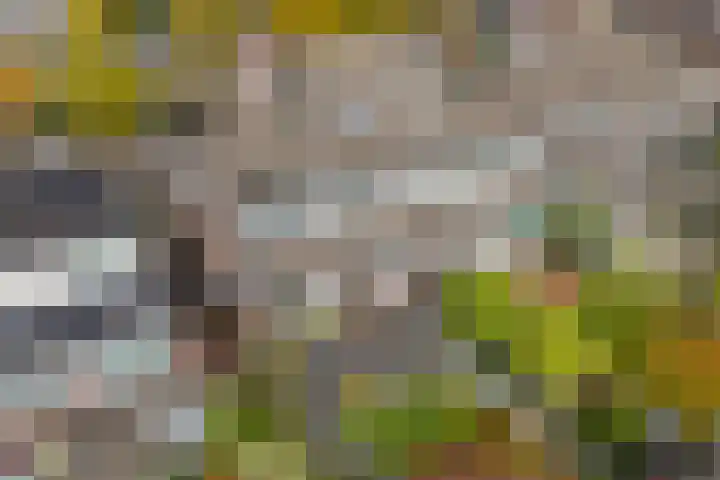 Middelgronden 64 Huizen thumbnail 17
