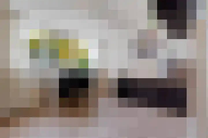 Middelgronden 64 Huizen thumbnail 38