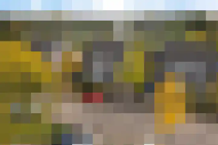 Middelgronden 64 Huizen thumbnail 4