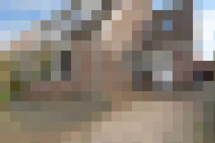 Middelgronden 64 Huizen thumbnail 43