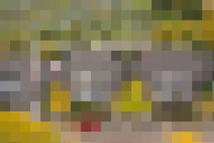 Middelgronden 64 Huizen thumbnail 45