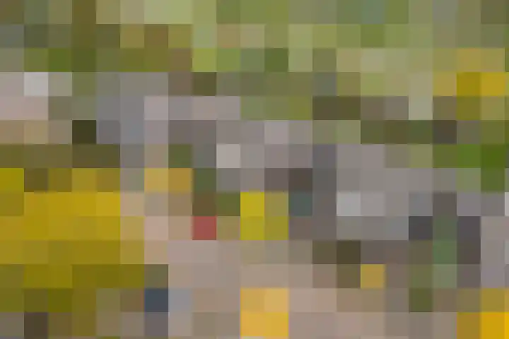 Middelgronden 64 Huizen thumbnail 46