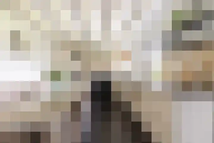 Middelie 118 Middelie thumbnail 18