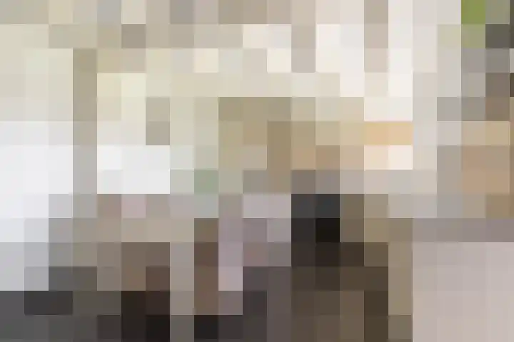 Middelie 118 Middelie thumbnail 19