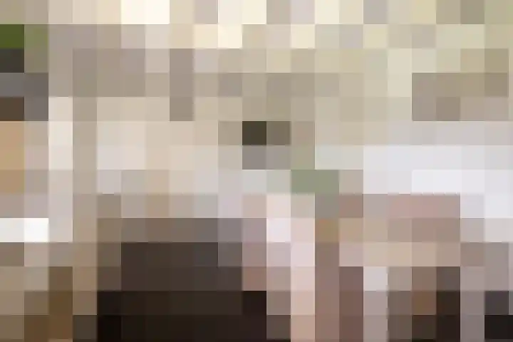 Middelie 118 Middelie thumbnail 20
