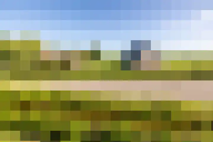 Middelie 118 Middelie thumbnail 29