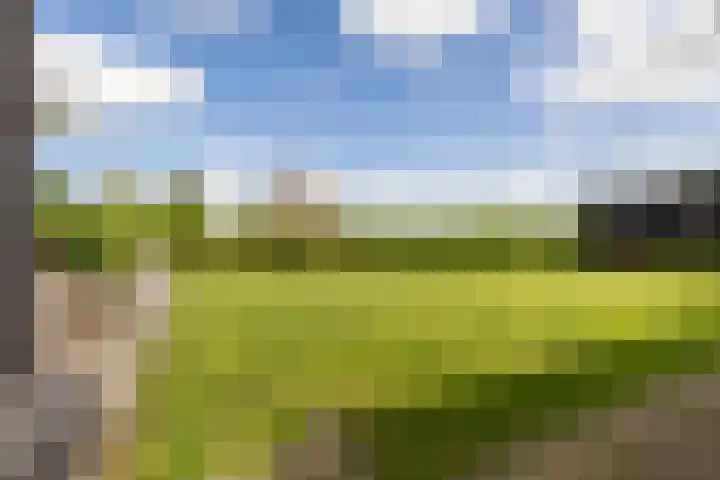 Middelie 118 Middelie thumbnail 42