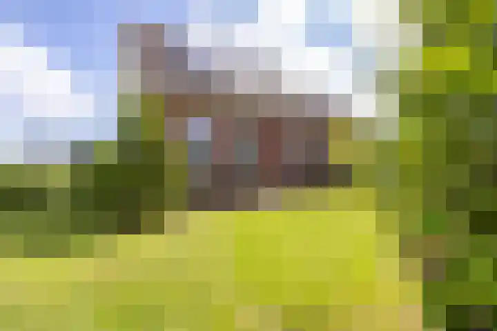 Middelie 118 Middelie thumbnail 47