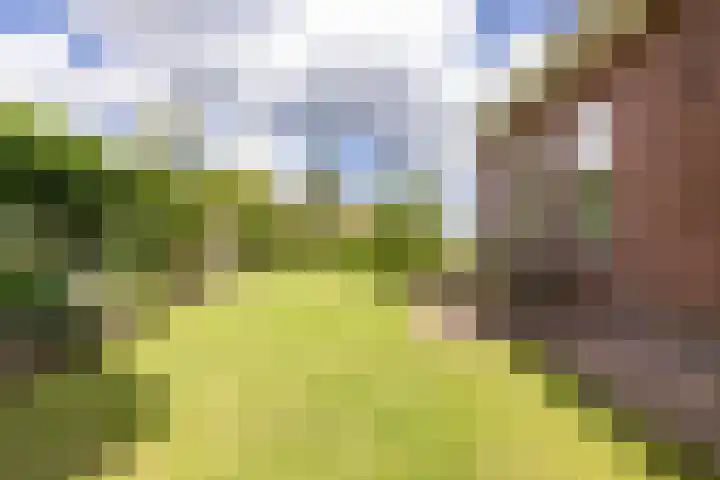 Middelie 118 Middelie thumbnail 48