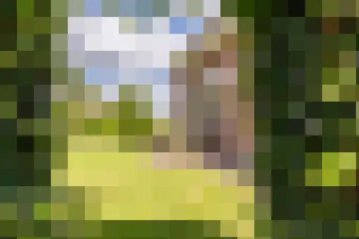 Middelie 118 Middelie thumbnail 49