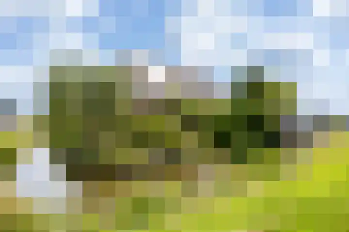 Middelie 118 Middelie thumbnail 5