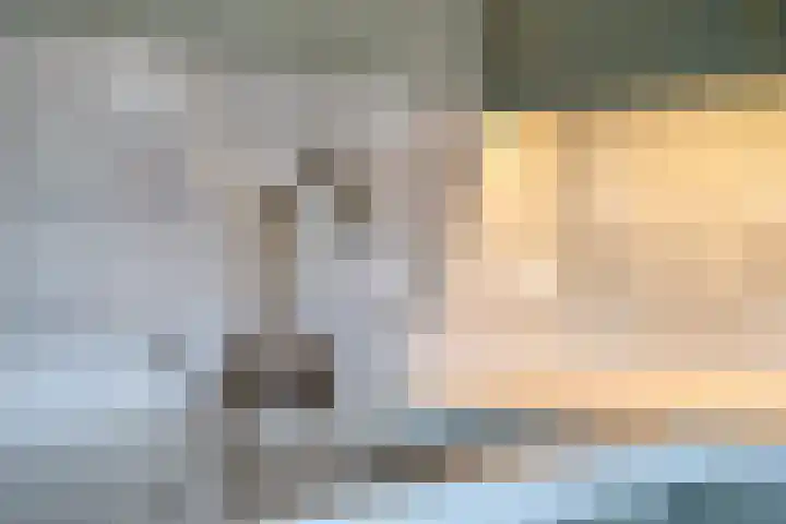 Middelie 70 Middelie thumbnail 17