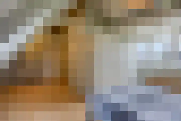 Middelie 70 Middelie thumbnail 21