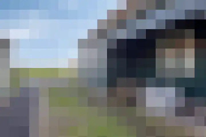 Middelie 70 Middelie thumbnail 32