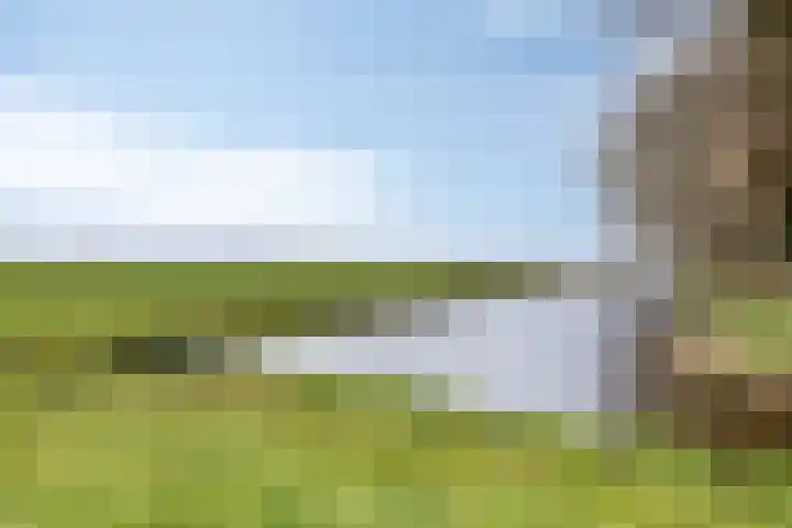 Middelie 70 Middelie thumbnail 38