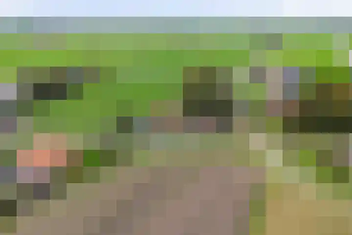 Middelie 70 Middelie thumbnail 39