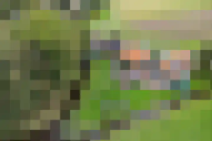 Middelie 70 Middelie thumbnail 40