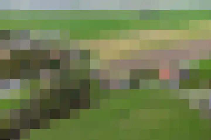 Middelie 70 Middelie thumbnail 44