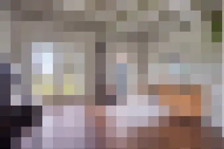 Middelie 70 Middelie thumbnail 6