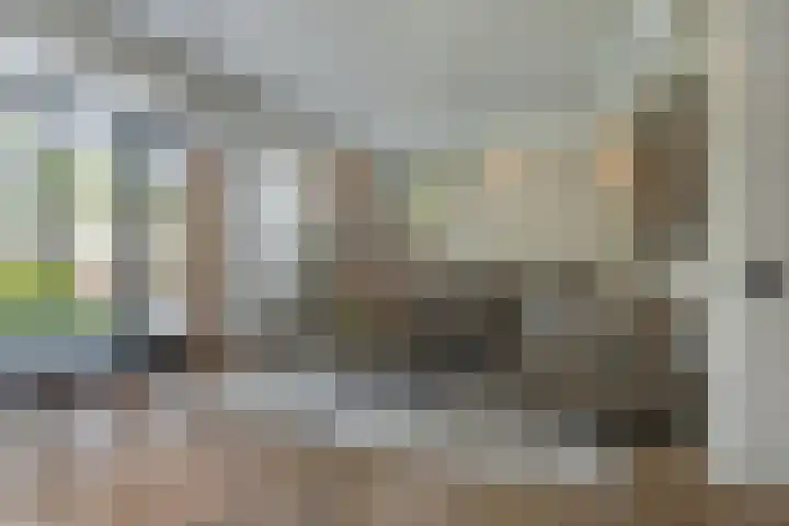 Middelingenseweg 15 Hedel thumbnail 10