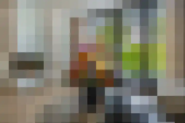 Middelingenseweg 15 Hedel thumbnail 11